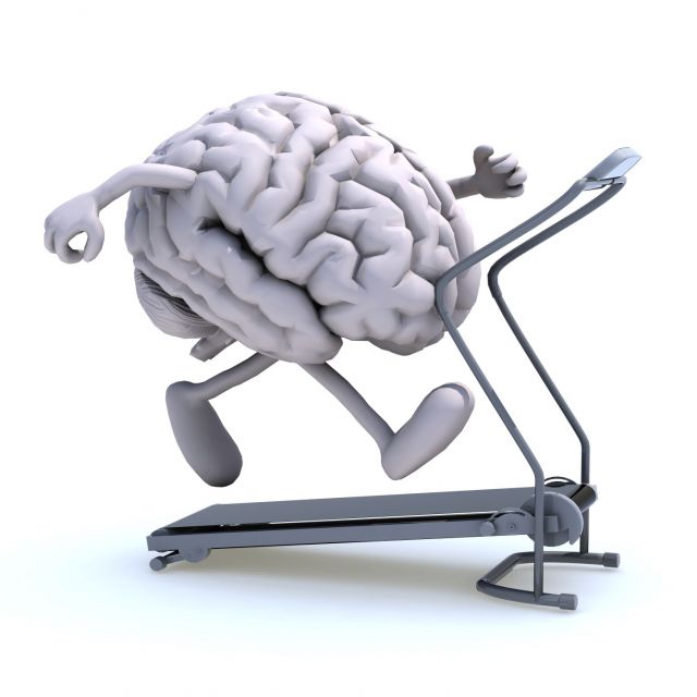 Brain on treadmill lr