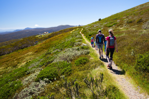 Mount,Buller,Landscape,And,Walking,Trails,On,A,Hot,Summer's